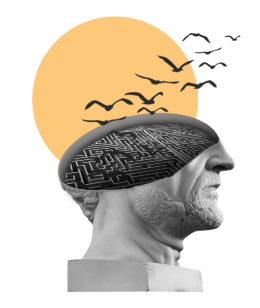 Тренинг тренеров